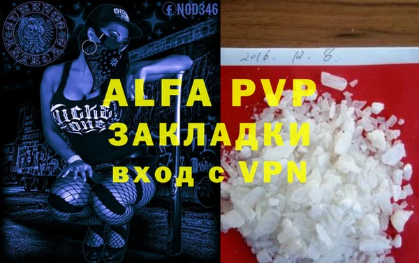 СК Белокуриха