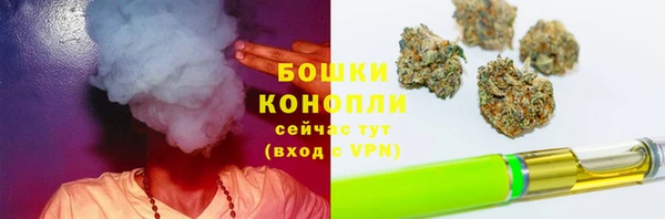 СК Белокуриха