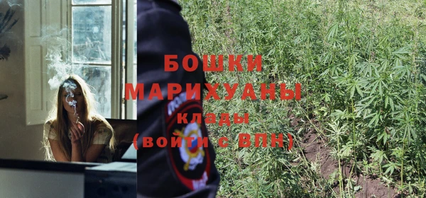 СК Белокуриха